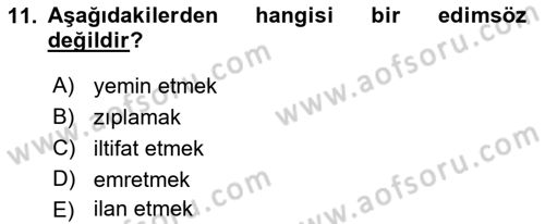 Genel Dilbilim 2 Dersi 2022 - 2023 Yılı Yaz Okulu Sınav Soruları 11. Soru