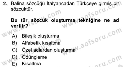 Genel Dilbilim 2 Dersi 2022 - 2023 Yılı Yaz Okulu Sınav Soruları 2. Soru