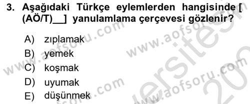 Genel Dilbilim 2 Dersi 2022 - 2023 Yılı Yaz Okulu Sınav Soruları 3. Soru