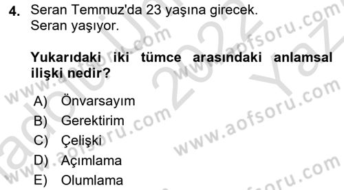 Genel Dilbilim 2 Dersi 2022 - 2023 Yılı Yaz Okulu Sınav Soruları 4. Soru