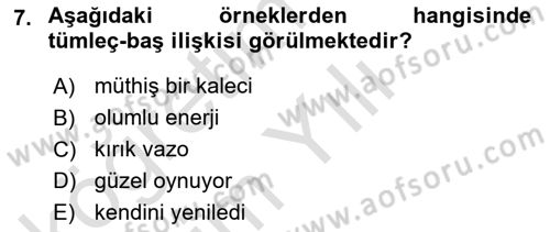 Genel Dilbilim 2 Dersi 2022 - 2023 Yılı Yaz Okulu Sınav Soruları 7. Soru