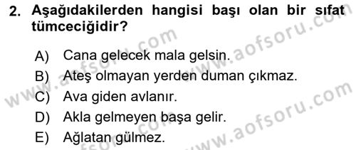 Genel Dilbilim 2 Dersi 2023 - 2024 Yılı (Vize) Ara Sınavı 2. Soru