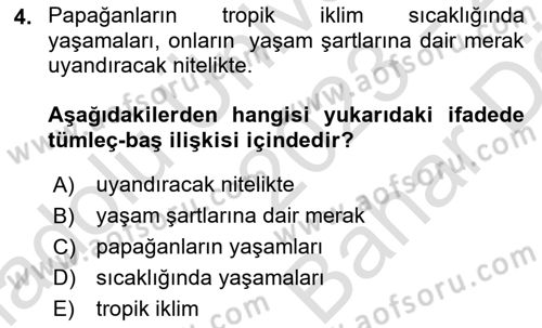 Genel Dilbilim 2 Dersi 2023 - 2024 Yılı (Vize) Ara Sınavı 4. Soru