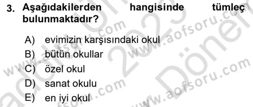 Genel Dilbilim 2 Dersi 2023 - 2024 Yılı (Final) Dönem Sonu Sınav Soruları 3. Soru