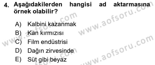 Genel Dilbilim 2 Dersi 2023 - 2024 Yılı (Final) Dönem Sonu Sınav Soruları 4. Soru