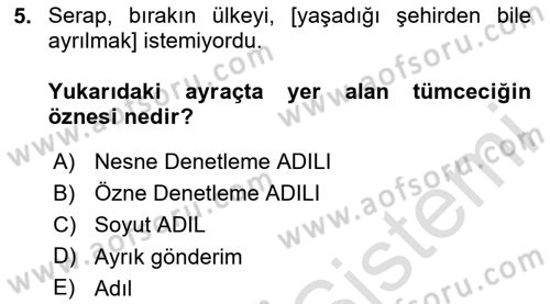Genel Dilbilim 2 Dersi 2023 - 2024 Yılı Yaz Okulu Sınav Soruları 5. Soru