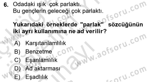 Genel Dilbilim 2 Dersi 2023 - 2024 Yılı Yaz Okulu Sınav Soruları 6. Soru
