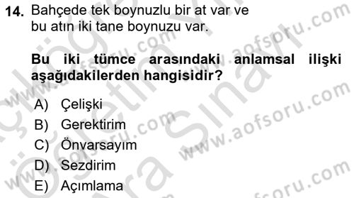 Genel Dilbilim 2 Dersi 2024 - 2025 Yılı (Vize) Ara Sınav Soruları 14. Soru