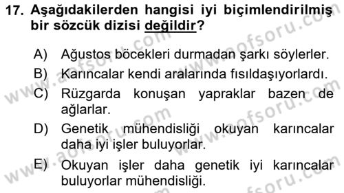 Genel Dilbilim 2 Dersi 2024 - 2025 Yılı (Vize) Ara Sınav Soruları 17. Soru