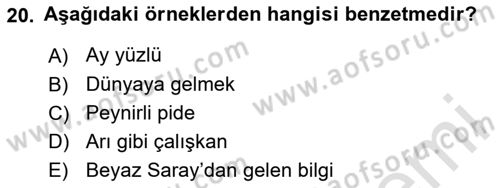 Genel Dilbilim 2 Dersi 2024 - 2025 Yılı (Vize) Ara Sınav Soruları 20. Soru