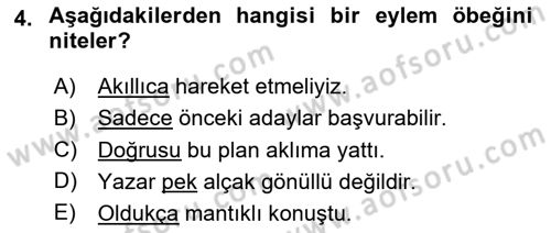 Genel Dilbilim 2 Dersi 2024 - 2025 Yılı (Vize) Ara Sınav Soruları 4. Soru