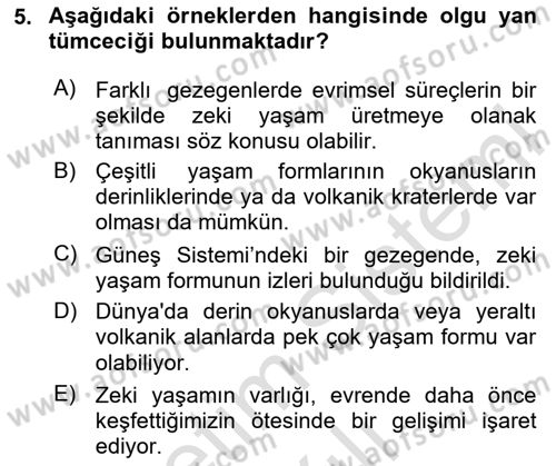 Genel Dilbilim 2 Dersi 2024 - 2025 Yılı (Vize) Ara Sınav Soruları 5. Soru