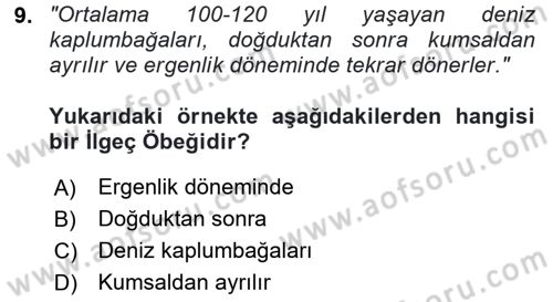 Genel Dilbilim 2 Dersi 2024 - 2025 Yılı (Vize) Ara Sınav Soruları 9. Soru