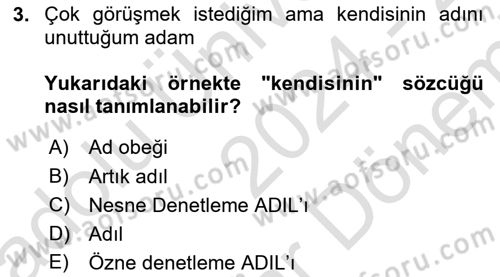 Genel Dilbilim 2 Dersi 2024 - 2025 Yılı (Final) Dönem Sonu Sınav Soruları 3. Soru