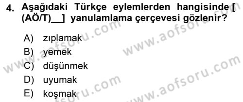 Genel Dilbilim 2 Dersi 2024 - 2025 Yılı (Final) Dönem Sonu Sınav Soruları 4. Soru