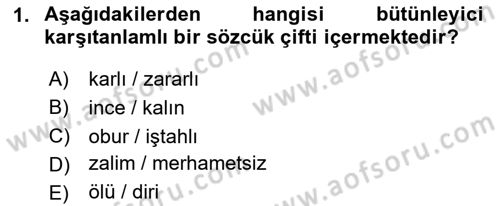 Genel Dilbilim 2 Dersi 2024 - 2025 Yılı Yaz Okulu Sınav Soruları 1. Soru