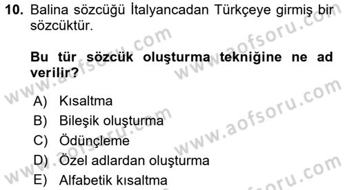 Genel Dilbilim 2 Dersi 2024 - 2025 Yılı Yaz Okulu Sınav Soruları 10. Soru