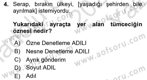Genel Dilbilim 2 Dersi 2024 - 2025 Yılı Yaz Okulu Sınav Soruları 4. Soru