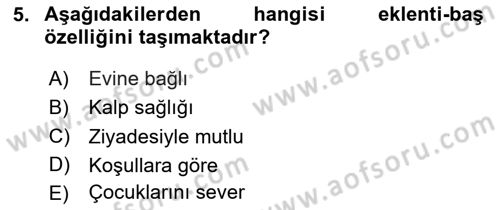 Genel Dilbilim 2 Dersi 2024 - 2025 Yılı Yaz Okulu Sınav Soruları 5. Soru