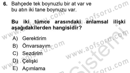 Genel Dilbilim 2 Dersi 2024 - 2025 Yılı Yaz Okulu Sınav Soruları 6. Soru