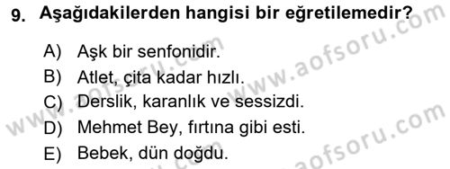 Genel Dilbilim 2 Dersi 2024 - 2025 Yılı Yaz Okulu Sınav Soruları 9. Soru