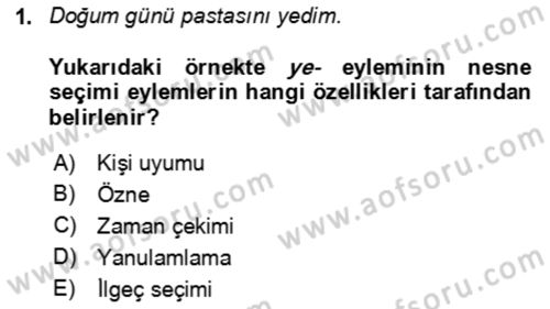 Genel Dilbilim 2 Dersi 2025 - 2026 Yılı Yaz Okulu Sınav Soruları 1. Soru