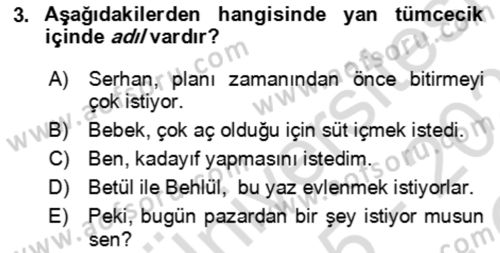 Genel Dilbilim 2 Dersi 2025 - 2026 Yılı Yaz Okulu Sınav Soruları 3. Soru