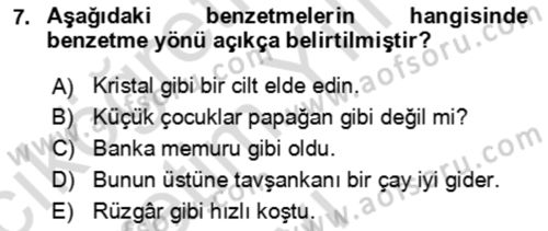 Genel Dilbilim 2 Dersi 2025 - 2026 Yılı Yaz Okulu Sınav Soruları 7. Soru