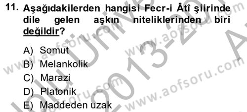 2. Meşrutiyet Dönemi Türk Edebiyatı Dersi 2013 - 2014 Yılı (Vize) Ara Sınav Soruları 11. Soru
