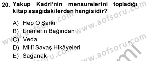 2. Meşrutiyet Dönemi Türk Edebiyatı Dersi 2013 - 2014 Yılı (Vize) Ara Sınav Soruları 20. Soru