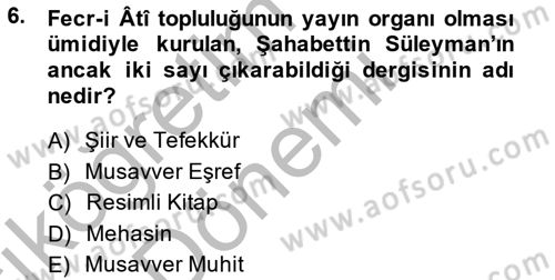 2. Meşrutiyet Dönemi Türk Edebiyatı Dersi 2013 - 2014 Yılı (Vize) Ara Sınav Soruları 6. Soru