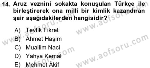 2. Meşrutiyet Dönemi Türk Edebiyatı Dersi 2015 - 2016 Yılı Tek Ders Sınav Soruları 14. Soru