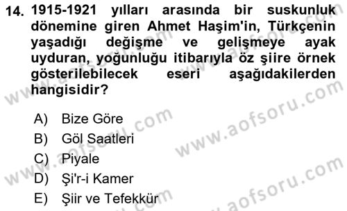 2. Meşrutiyet Dönemi Türk Edebiyatı Dersi 2016 - 2017 Yılı (Vize) Ara Sınav Soruları 14. Soru