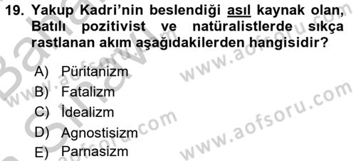 2. Meşrutiyet Dönemi Türk Edebiyatı Dersi 2016 - 2017 Yılı (Vize) Ara Sınav Soruları 19. Soru
