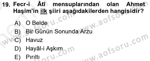 2. Meşrutiyet Dönemi Türk Edebiyatı Dersi 2017 - 2018 Yılı (Vize) Ara Sınav Soruları 19. Soru