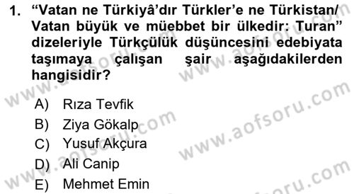 2. Meşrutiyet Dönemi Türk Edebiyatı Dersi 2017 - 2018 Yılı (Final) Dönem Sonu Sınavı 1. Soru