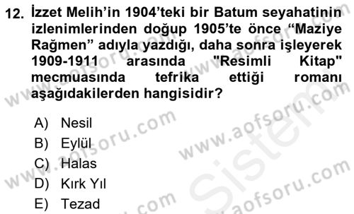 2. Meşrutiyet Dönemi Türk Edebiyatı Dersi 2018 - 2019 Yılı (Vize) Ara Sınav Soruları 12. Soru