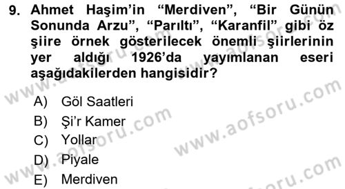 2. Meşrutiyet Dönemi Türk Edebiyatı Dersi 2018 - 2019 Yılı (Vize) Ara Sınav Soruları 9. Soru