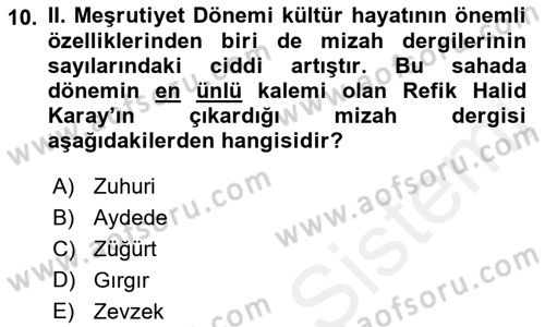 2. Meşrutiyet Dönemi Türk Edebiyatı Dersi 2018 - 2019 Yılı (Final) Dönem Sonu Sınav Soruları 10. Soru