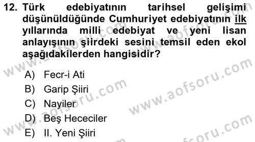 2. Meşrutiyet Dönemi Türk Edebiyatı Dersi 2018 - 2019 Yılı (Final) Dönem Sonu Sınav Soruları 12. Soru