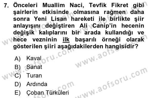 2. Meşrutiyet Dönemi Türk Edebiyatı Dersi 2018 - 2019 Yılı (Final) Dönem Sonu Sınav Soruları 7. Soru