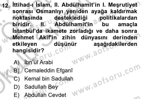 2. Meşrutiyet Dönemi Türk Edebiyatı Dersi 2018 - 2019 Yılı Yaz Okulu Sınav Soruları 12. Soru