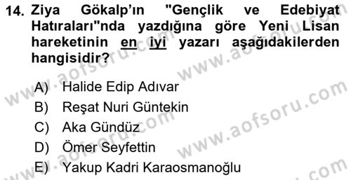 2. Meşrutiyet Dönemi Türk Edebiyatı Dersi 2018 - 2019 Yılı Yaz Okulu Sınav Soruları 14. Soru