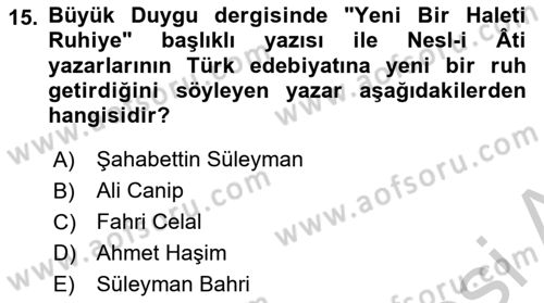 2. Meşrutiyet Dönemi Türk Edebiyatı Dersi 2018 - 2019 Yılı Yaz Okulu Sınav Soruları 15. Soru