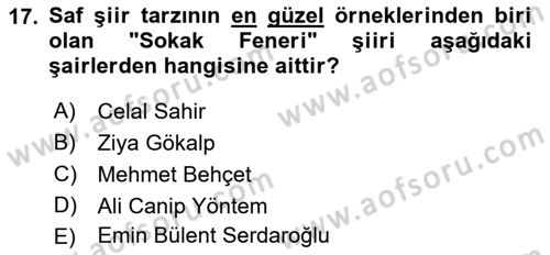 2. Meşrutiyet Dönemi Türk Edebiyatı Dersi 2018 - 2019 Yılı Yaz Okulu Sınav Soruları 17. Soru