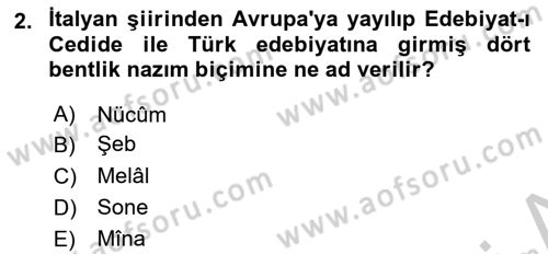 2. Meşrutiyet Dönemi Türk Edebiyatı Dersi 2018 - 2019 Yılı Yaz Okulu Sınav Soruları 2. Soru