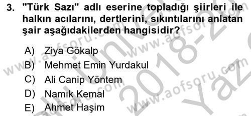 2. Meşrutiyet Dönemi Türk Edebiyatı Dersi 2018 - 2019 Yılı Yaz Okulu Sınav Soruları 3. Soru