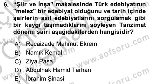 2. Meşrutiyet Dönemi Türk Edebiyatı Dersi 2018 - 2019 Yılı Yaz Okulu Sınav Soruları 6. Soru