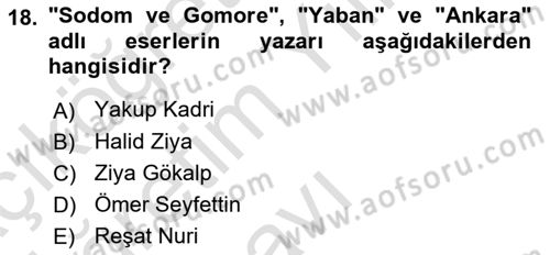2. Meşrutiyet Dönemi Türk Edebiyatı Dersi 2020 - 2021 Yılı Yaz Okulu Sınavı 18. Soru