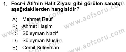 2. Meşrutiyet Dönemi Türk Edebiyatı Dersi 2021 - 2022 Yılı Yaz Okulu Sınavı 1. Soru